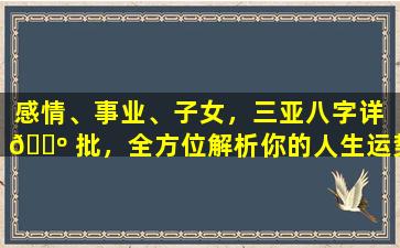 感情、事业、子女，三亚八字详 🌺 批，全方位解析你的人生运势！